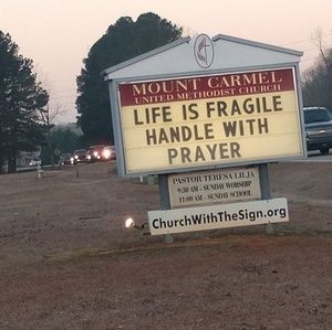 Meet your Posher, Jacqueline